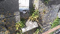 acastle 144090.jpg